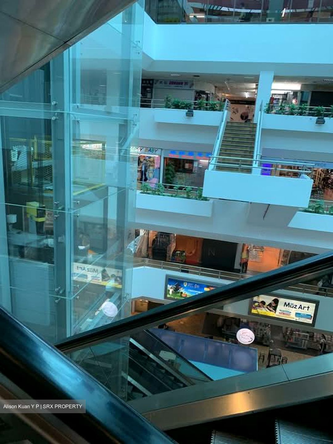 Beauty World Centre (D21), Retail #625396221